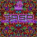 Tasp - The Big Picture (Original Mix)