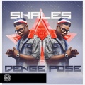 Denge Pose