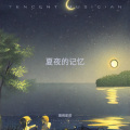 烟雨星辰 - 夏夜的记忆