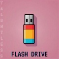 Flash Drive