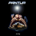 Pantum - Moon Lighter
