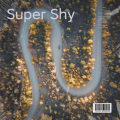 是烟雨啊 - Super Shy