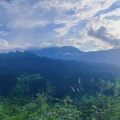 果果G - 盛夏的果实