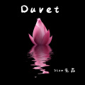 Duvet (1.1x)