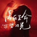 助眠纯音乐 - 落在生命里的光