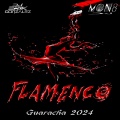 Flamenco Guaracha 2024 (feat Erik Gonzalez)