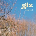 Erman Evcil - Giz