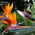 EYEawake、Turen - Birds of Paradise (Original Mix)