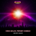 Cena Balak、Ferney Angelo - Never Again (Original Mix)