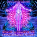 Shape the Machine V2 Programed by Random - Best of Hi-Tech, Darkpsy, Fullon, Psychedelic Trance and Goa