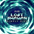 Lost Shaman - Surveillance Area (Original Mix)