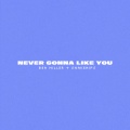 NEVER GONNA LIKE YOU (Clean Version)