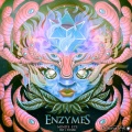 Enzymes、Dar - Almost Famous