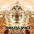 Endless Space - The Passenger (Original Mix)