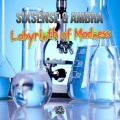 Sixsense、Ambra - Labyrinth of Madness