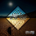 Aria Des - Dried Sea (Original Mix)