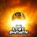 Lost Shaman - Floating Mannequin (Original Mix)