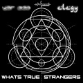 Yar Zaa - Whats True (Elegy Remix)
