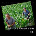 艾佳 - 人世间最苦的是爹娘