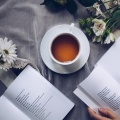 悠然生活:轻松茶楼与雅致书房的旋律
