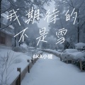 我期待的不是雪