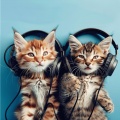 Mireless、Gentle Rain Makers、Sweet Rain - Relaxing Purr Tunes