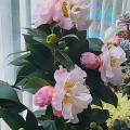박옥구 - 유달산