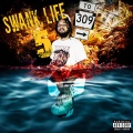 Swank Life 5 (Explicit)