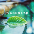 追梦 - 下雨的时候最想你