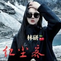 林研 - 红尘客