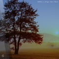 Lovers in Motion - Intuitive Miracles