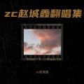 zc赵城鑫 - 我恨我痴心