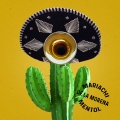 Mariachi de la Morena