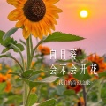 我们的奇幻之旅 - 向日葵会不会开花