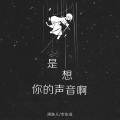 是想你的声音啊