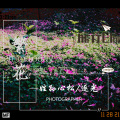 姓孙心松 - 很久很久