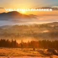 Veiled Harmonies