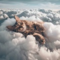 Música para dormir Gatos、Música de gatos、Imaginacoustica - Ritmos Armoniosos Y Suaves Para Gatos