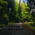 John Shorter - Saving Diversion