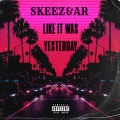 Skeez、majinmitch - no cha$a (feat. majinmitch)(Explicit)