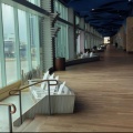 The MookMann、11:11 Music Group - Gambling Man