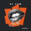 DJ Sam - Lush (Acapella)