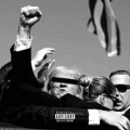 Vera Cruz - Rollercoaster