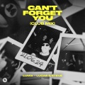 Can't Forget You (Club Mix)