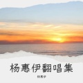 杨惠伊 - 若月亮还没来