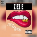 Mingle (Explicit)