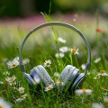 Chilled Morning Music、Peaceful Music Journey、Silent Night Music - Slow Rise Music