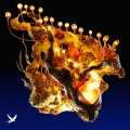 Korolova、Ross Quinn - Say