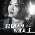 陈瑞 - 爱你入骨伤我入土