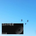 梁启超 - 梦想的航行